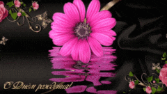 Розовая ромашка с Днем рождения мерцающая открытка гиф